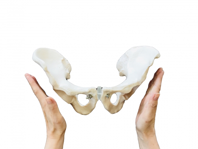 産後の骨盤矯正 本当に必要 妊娠中 産後の骨盤について 産婦人科オンラインジャーナル